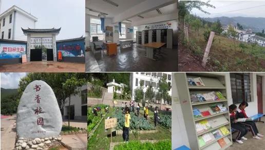 �Ƿ�����(�й���)-�ٷ���վ