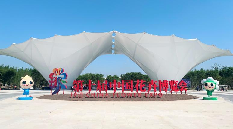 �����й��� ��ս����������������ͨ | �Ƿ����ʼ������·Ƿ����ʼ�ͨ��˾������ʮ���й�����չ����